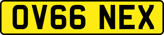 OV66NEX
