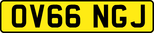 OV66NGJ
