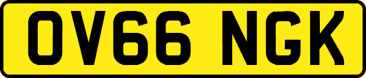 OV66NGK