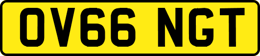 OV66NGT