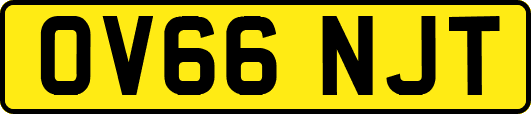 OV66NJT