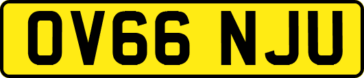 OV66NJU