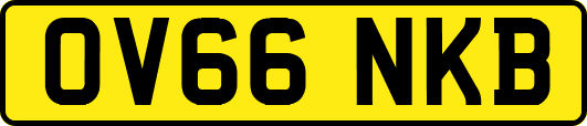 OV66NKB
