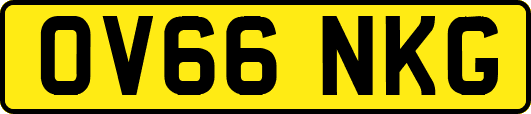 OV66NKG