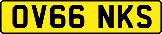OV66NKS