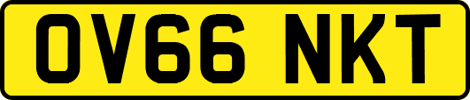 OV66NKT