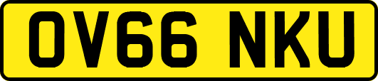 OV66NKU