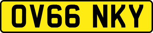 OV66NKY