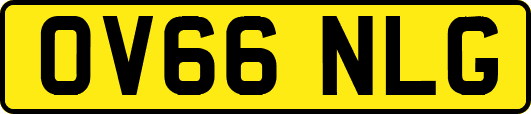 OV66NLG