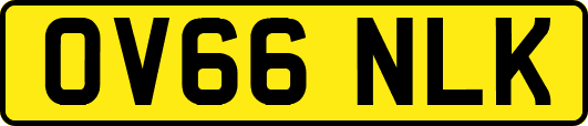 OV66NLK