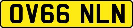 OV66NLN