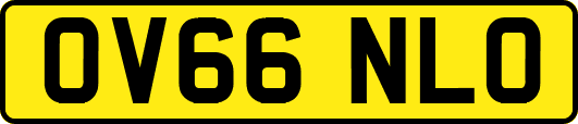 OV66NLO