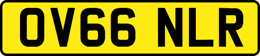 OV66NLR
