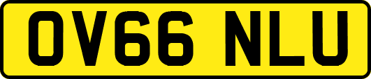 OV66NLU