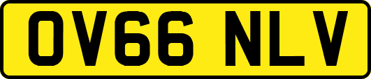 OV66NLV