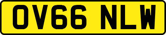 OV66NLW