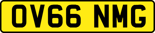 OV66NMG