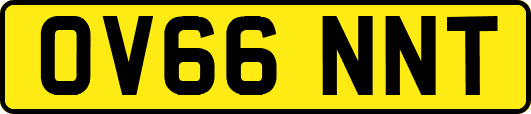 OV66NNT