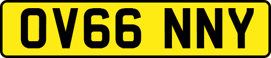 OV66NNY