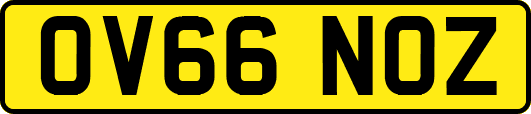 OV66NOZ