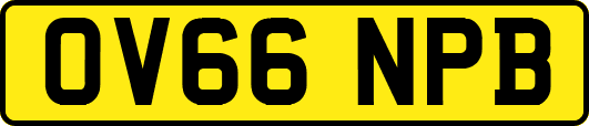 OV66NPB