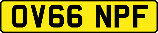OV66NPF