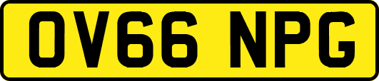 OV66NPG
