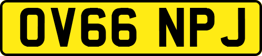 OV66NPJ