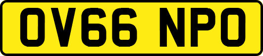 OV66NPO
