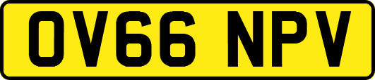 OV66NPV