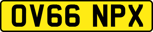 OV66NPX