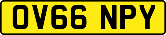 OV66NPY