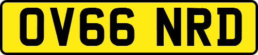 OV66NRD