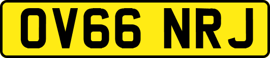 OV66NRJ