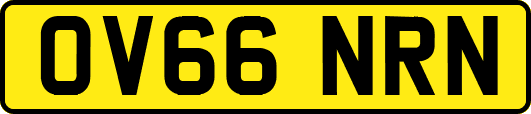 OV66NRN