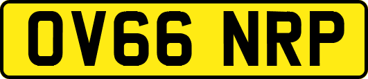 OV66NRP