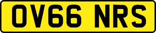 OV66NRS