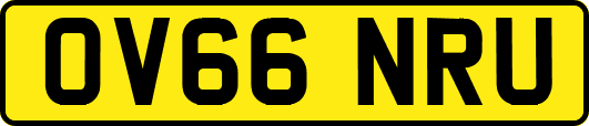 OV66NRU