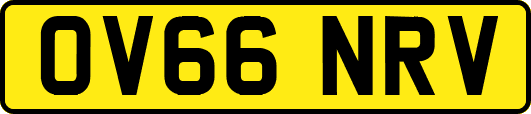 OV66NRV