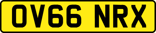 OV66NRX