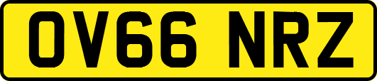 OV66NRZ