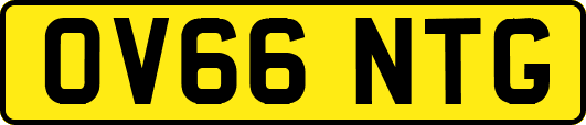 OV66NTG