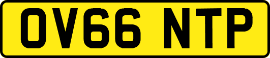 OV66NTP