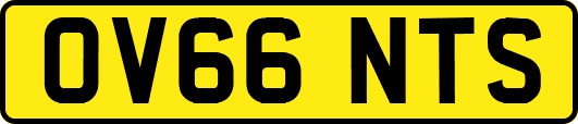 OV66NTS