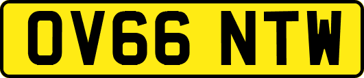 OV66NTW
