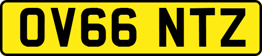 OV66NTZ