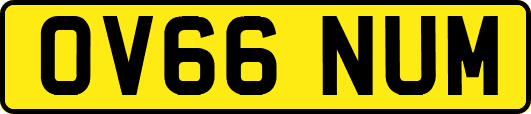 OV66NUM