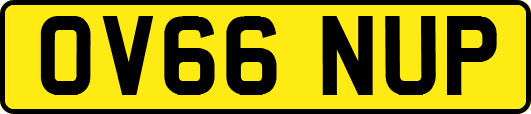 OV66NUP