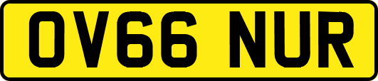 OV66NUR