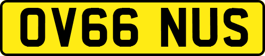 OV66NUS